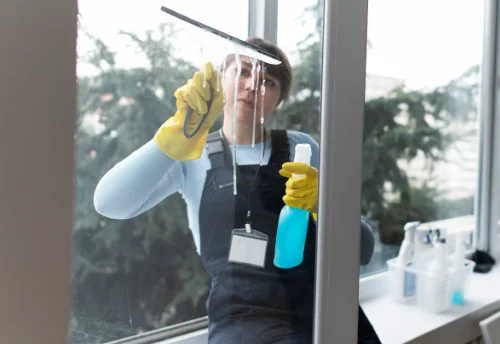 Nettoyage de vitres intérieures et extérieures à Panzoult
